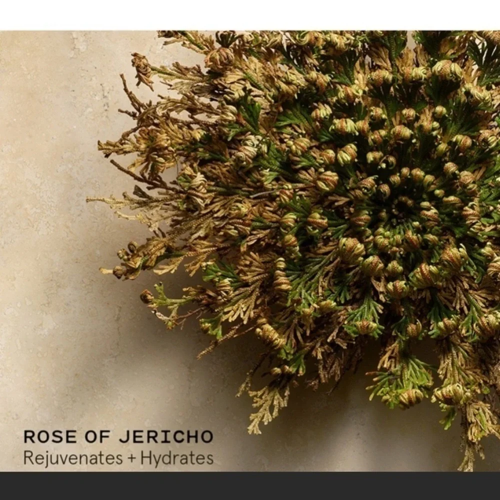 KEYS Soulcare Reviving Aura Mist-Rose of Jericho & Witch Hazel NEW‎ FULL Size